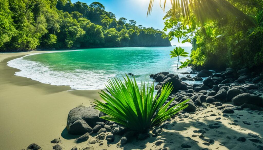 manuel antonio national park
